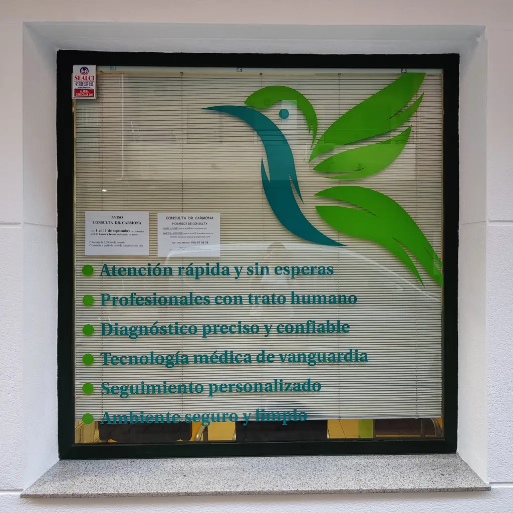 Vinilado de escaparate
